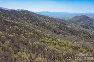 28 & 29 Spruce Chase Ln, Swannanoa, NC 28778 - Photo 4