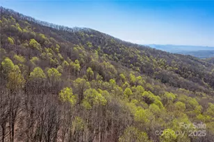 28 & 29 Spruce Chase Ln, Swannanoa, NC 28778 - Photo 42
