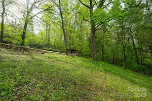 25 Coal Creek Ln, Weaverville, NC 28787 - Photo 12