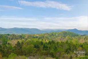 25 Coal Creek Ln, Weaverville, NC 28787 - Photo 4