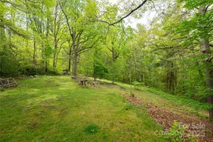 25 Coal Creek Ln, Weaverville, NC 28787 - Photo 6