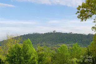 25 Coal Creek Ln, Weaverville, NC 28787 - Photo 14