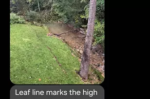 689 New Haw Creek Rd, Asheville, NC 28805 - Photo 48