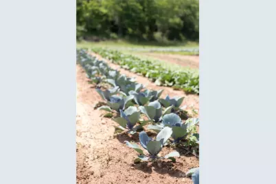 17 French Broad River Way #98, Asheville, NC 28804 - Photo 14