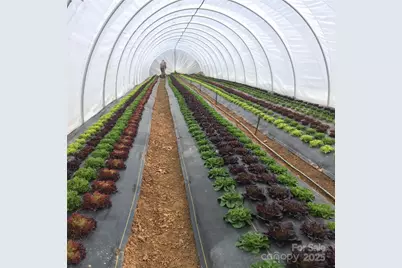 17 French Broad River Way #98, Asheville, NC 28804 - Photo 10