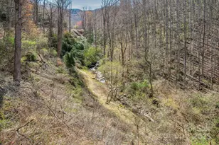 33 Shepherds Creek Rd, Bryson City, NC 28713 - Photo 48