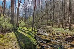 33 Shepherds Creek Rd, Bryson City, NC 28713 - Photo 38