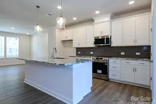 1112 Bismuth Ln, Charlotte, NC 28211 - Photo 14