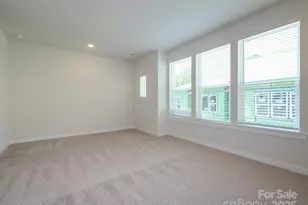 1112 Bismuth Ln, Charlotte, NC 28211 - Photo 28