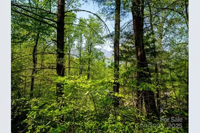 147 Sidney Lanier Drive, Lake Lure, NC 28746 - Photo 8