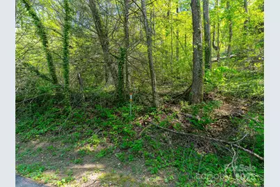 147 Sidney Lanier Drive, Lake Lure, NC 28746 - Photo 18