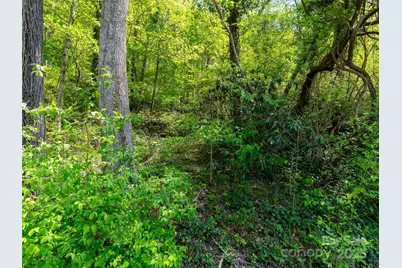 147 Sidney Lanier Drive, Lake Lure, NC 28746 - Photo 24