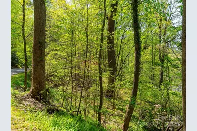 147 Sidney Lanier Drive, Lake Lure, NC 28746 - Photo 2