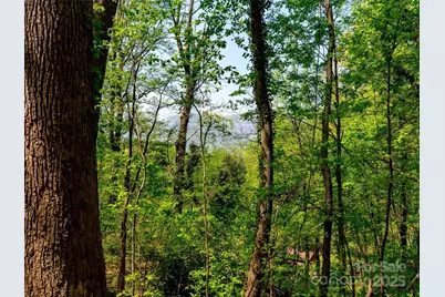 147 Sidney Lanier Drive, Lake Lure, NC 28746 - Photo 1