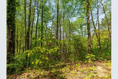 147 Sidney Lanier Drive, Lake Lure, NC 28746 - Photo 12