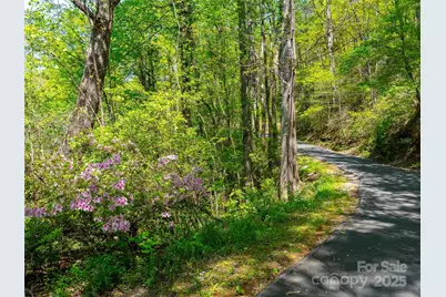 147 Sidney Lanier Drive, Lake Lure, NC 28746 - Photo 4