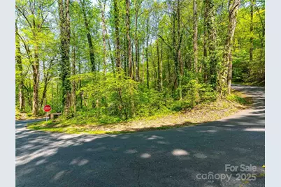 147 Sidney Lanier Drive, Lake Lure, NC 28746 - Photo 14