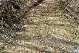 00 Puncheon Ln, Mars Hill, NC 28754 - Photo 6