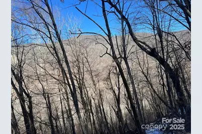 00 Puncheon Lane #149, Mars Hill, NC 28754 - Photo 4