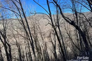 00 Puncheon Ln, Mars Hill, NC 28754 - Photo 4