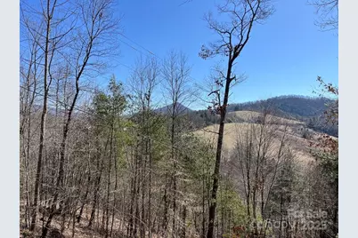 000 Trinity Place, Burnsville, NC 28714 - Photo 1