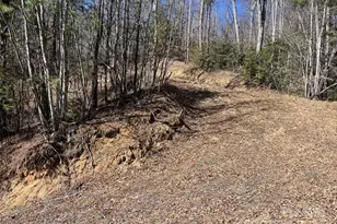 000 Trinity Pl, Burnsville, NC 28714 - Photo 2