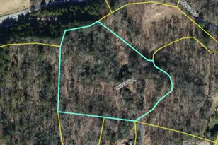 000 Trinity Pl, Burnsville, NC 28714 - Photo 4