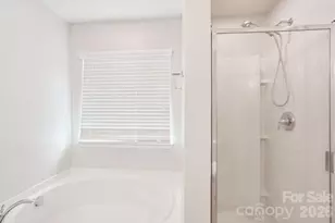 217 Almora Loop, Mooresville, NC 28115 - Photo 22