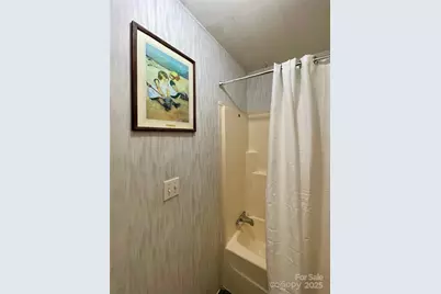 784 Fred Holcombe Road, Mars Hill, NC 28754 - Photo 24