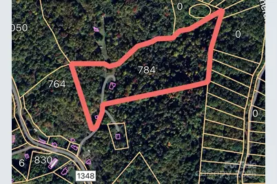 784 Fred Holcombe Road, Mars Hill, NC 28754 - Photo 8