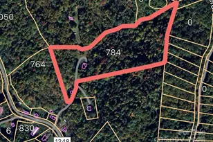 784 Fred Holcombe Rd, Mars Hill, NC 28754 - Photo 8