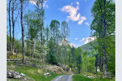 784 Fred Holcombe Road, Mars Hill, NC 28754 - Photo 34