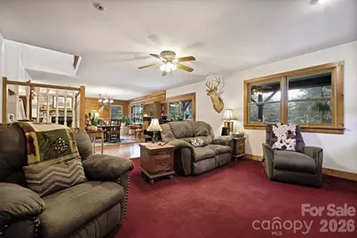 150 Sorghum Drive, Waynesville, NC 28785 - Photo 10