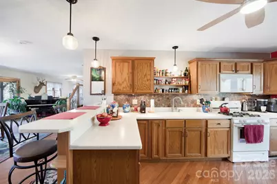 150 Sorghum Drive, Waynesville, NC 28785 - Photo 14