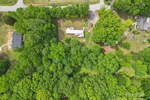 10420 Silver Mine Rd, Indian Land, SC 29707 - Photo 4