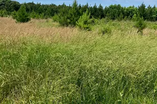 0 Renee Ford Rd, Stanfield, NC 28163 - Photo 1