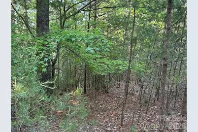 Tbd Wolf Pen Road #27, Purlear, NC 28665 - Photo 12