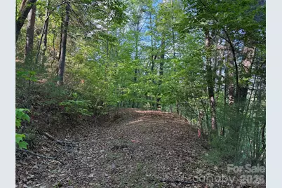 Tbd Wolf Pen Road #27, Purlear, NC 28665 - Photo 6