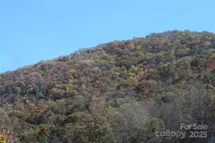 Tbd Clear Creek Rd, Burnsville, NC 28714 - Photo 8