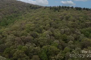 Tbd Clear Creek Rd, Burnsville, NC 28714 - Photo 16