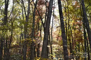 Tbd Clear Creek Rd, Burnsville, NC 28714 - Photo 6