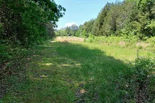 4194 Buffalo Shoals Rd, Maiden, NC 28650 - Photo 6