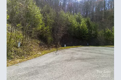17 Franklin Trace Drive #17, Asheville, NC 28804 - Photo 26