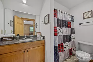 173 Mistletoe Park, Lake Lure, NC 28746 - Photo 30