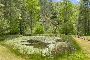 16 Caddis Ct, Marshall, NC 28753 - Photo 36