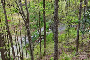 59 Lost Cove, Waynesville, NC 28785 - Photo 24