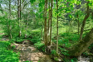 0 Fire Scald Rd, Green Mountain, NC 28740 - Photo 8