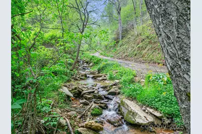 0 Fire Scald Road, Green Mountain, NC 28740 - Photo 4