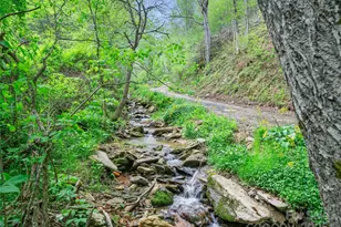 0 Fire Scald Rd, Green Mountain, NC 28740 - Photo 4