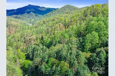 0 Fire Scald Road, Green Mountain, NC 28740 - Photo 28